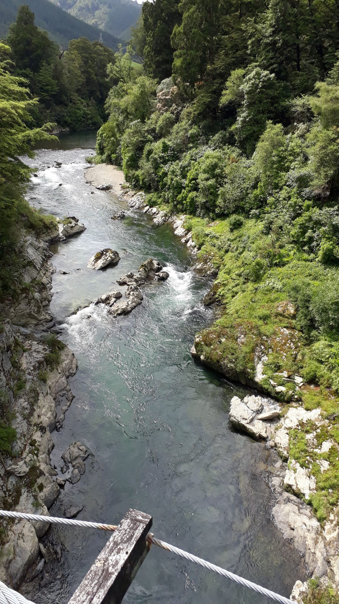 Pelorus river from swingbridge