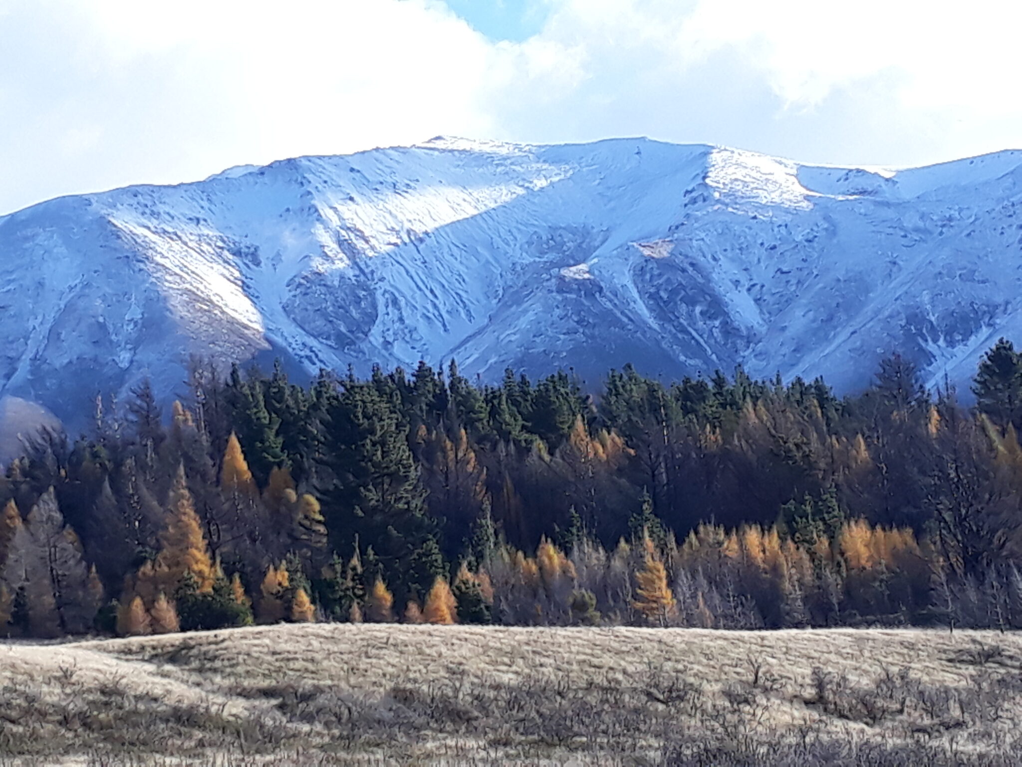 Early snow in Autumn